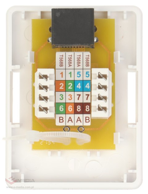 GNIAZDO KOŃCOWE RJ45-G1/6