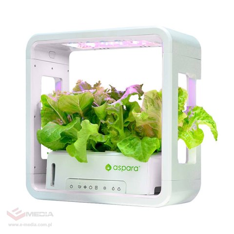 Smart doniczka aspara by GrowGreen Stylist Lite Smart Grower