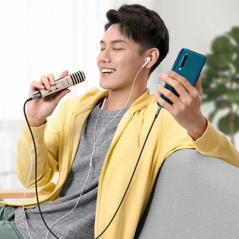 Kabel Ugreen AV183 10648 mini jack 3.5mm / mini jack 3.5mm 1m - szary