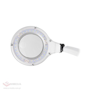 Lampa z lupą na biurko Rebel 6W (30x2835SMD)