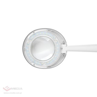 Lampa z lupą na stół 5D 6W Rebel , 6500K