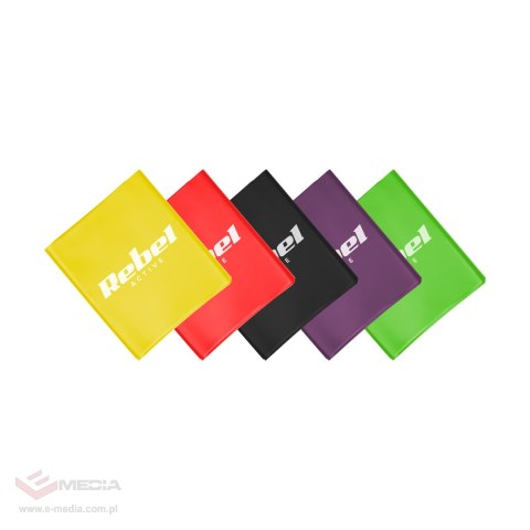 Zestaw gum do ćwiczeń lateksowe 2m - Flat Band LTs-1, 2,5-20 kg, 5 gum, REBEL ACTIVE