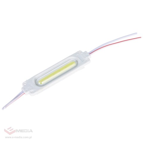 MODUŁ LED 7019-COB-2W DELTA LIGHTING