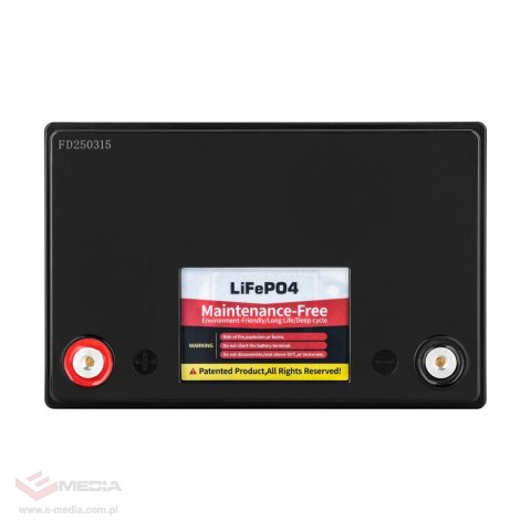 Akumulator LiFePO4 100Ah z BMS