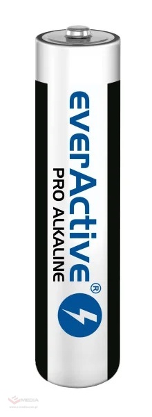 Baterie alkaliczne AAA / LR03 everActive Pro - 10 sztuk (kartonik)