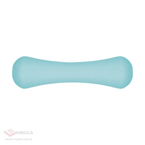 Hantelki żeliwne neoprenowe 2x1kg, REBEL ACTIVE