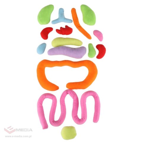 Lalka maskotka nauka anatomii dziewczynka