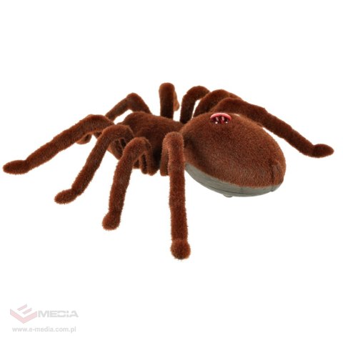 Pająk TARANTULA Zdalnie Sterowany robot + PILOT