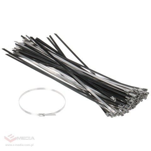 OPASKA METALOWA SSCT-300X4.6 100 SZT. DELTA Montage