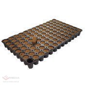 EAZY PLUG TACA CT104C