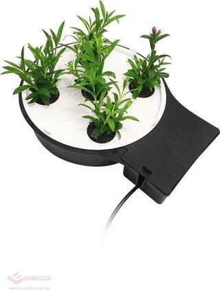 AUTOPOT TACA AQUAPALTE XL DO PODSTAWY 1POT XL