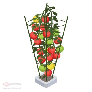 PLANT SUPPORT 100CM