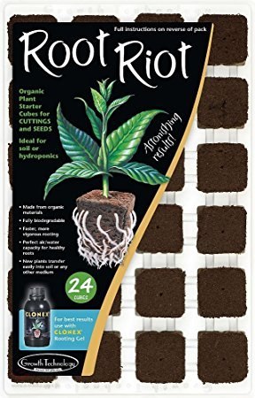 ROOT RIOT 24 TACA