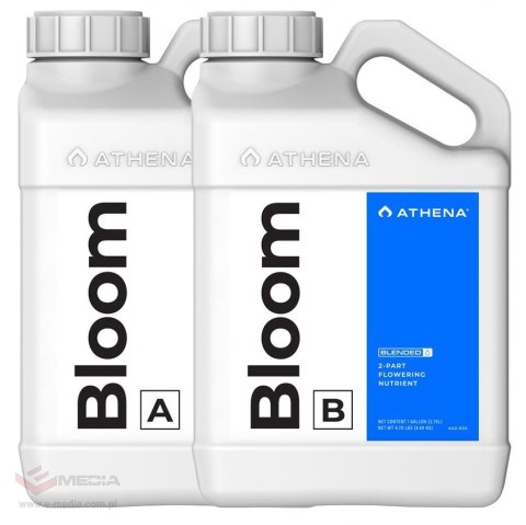 ATHENA BLOOM AB PŁYN 3,79L