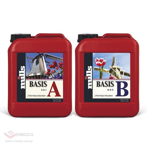 MILLS BASIS AB 5L