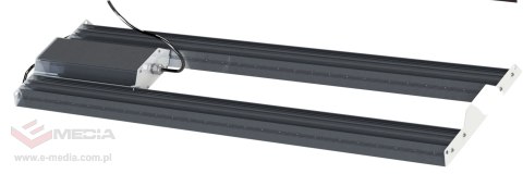 PERFANDLED HORTI 2 LN X2 250W