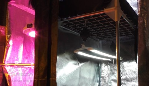 SECRET JARDIN COSMORROW ZASILACZ DO LED 4/5*40W