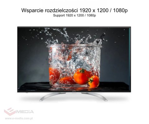 KONWERTER HDMI NA VGA Y-6333 + AUDIO UNITEK