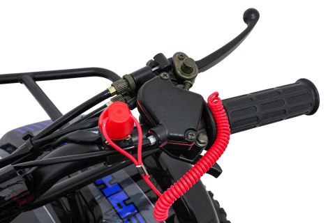 Pojazd Quad Spalinowy WILDPEAK 110cc Niebieski