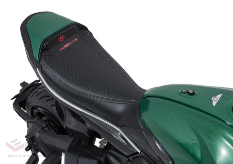 Pojazd Motor Ducati Diavel x Bentley Zielony