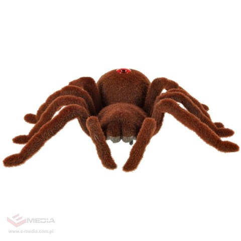 Pająk TARANTULA Zdalnie Sterowany robot + PILOT