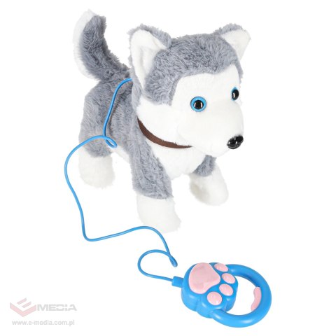 Piesek interaktywny na smyczy szczeka chodzi rusza ogonem Husky