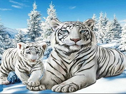 Diamond Painting Haft Diamentowy Mozaika Zestaw 5D 3