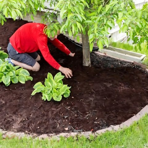 100X Agrowłóknina 70g 1,6m x 50m Czarna UV Agrotkanina Mata Antychwastowa