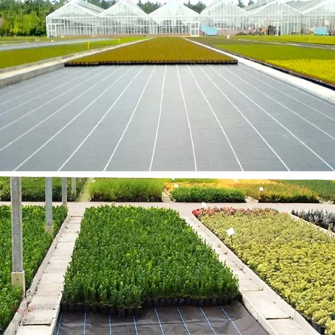 100X Agrowłóknina 70g 1,6m x 50m Czarna UV Agrotkanina Mata Antychwastowa