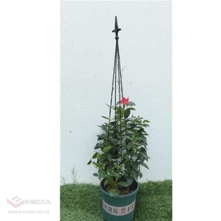 12x Podpora Pergola Ogrodowa Tarasowa na KWiaty Stojak Metalowy Roślin 150 cm