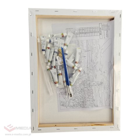 MALOWANIE PO NUMERACH OBRAZ Z RAMĄ DIY ZESTAW PĘDZLE FARBY PŁÓTNO 30x40