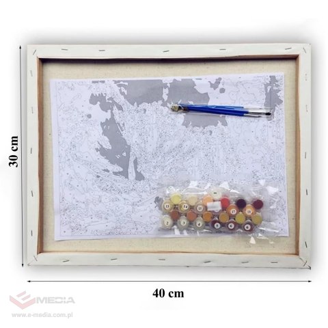 MALOWANIE PO NUMERACH OBRAZ Z RAMĄ DIY ZESTAW PĘDZLE FARBY PŁÓTNO 30x40