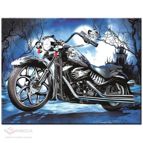 MALOWANIE PO NUMERACH OBRAZ Z RAMĄ DIY ZESTAW PĘDZLE FARBY PŁÓTNO 30x40