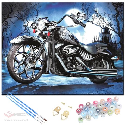 MALOWANIE PO NUMERACH OBRAZ Z RAMĄ DIY ZESTAW PĘDZLE FARBY PŁÓTNO 30x40