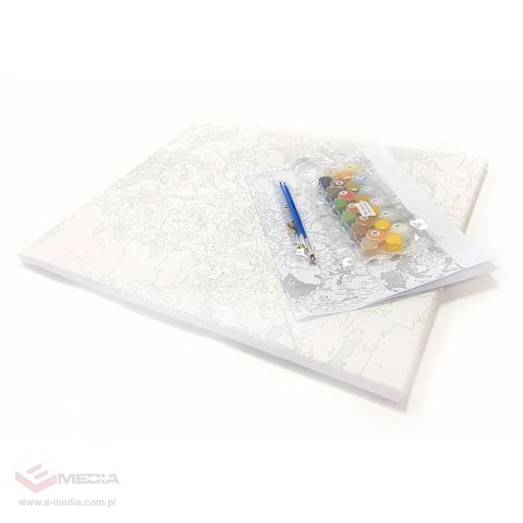 MALOWANIE PO NUMERACH OBRAZ Z RAMĄ DIY ZESTAW PĘDZLE FARBY PŁÓTNO 30x40