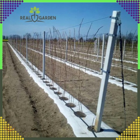 Agrowłóknina 70g 1,6x50m Biała UV Agrotkanina Mata Antychwastowa + Kotwy
