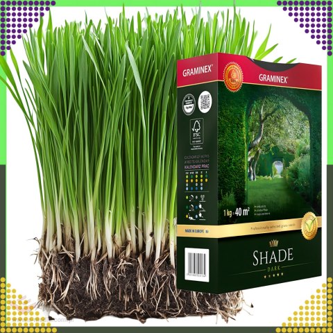 Premium Trawa Nasiona Mieszanka SHADE 1kg 40m Zaciemnione Miejsca do Cienia