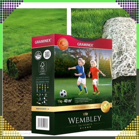 Premium Trawa sportowa sportowa boiskowa WEMBLEY 1kg 40m trawnik sportowy