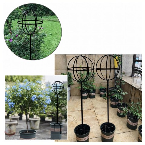 Pergola Ogrodowa Tarasowa Metalowa Podpora do Pnączy Róż Kwiatów 50x10cm Czarna