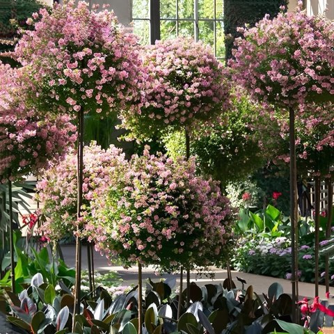 Pergola Ogrodowa Tarasowa Metalowa Podpora do Pnączy Róż Kwiatów 50x10cm zielona