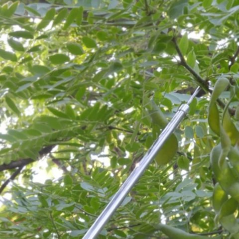 Zbierak Zbieracz Podbierak Teleskopowy Trzonek 400 cm do Owoców 4 Końcówki