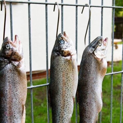 Haczyki do Wędzenia Mięsa i Wędlin Haki Wędzarnicze 10 szt Stalowe 15cm