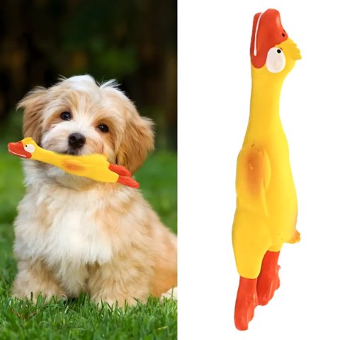 Piszcząca Duża Zabawka Gumowy Kurczak Duży dla Psa Szczeniaka Gryzak 22 cm