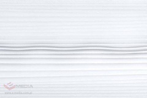 Bestway 58095 Filtr Wymienny Filtrujący do Pompy Wkład do Filtracji Typ IV