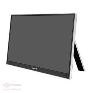 Monitor przenośny ANMITE A160W04H 16"