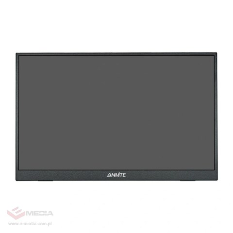 Monitor przenośny ANMITE A160W04H 16"