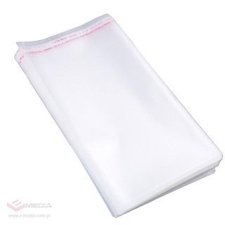 WORECZKI TOREBKI CELOFANOWE CELOFAN FOLIOWE BG OPP ZAKLEJANE 12x20 100 szt