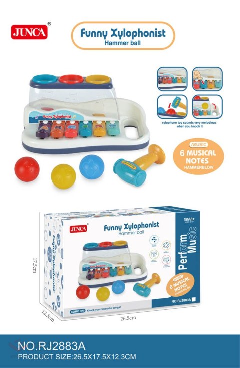Zestaw Muzyczny 2w1
