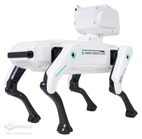 Inteligentny ROBODOG Biały