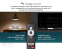 Android SMART TV Homatics Box R 4K Android 11 WiFi z cert. Google i Netflix